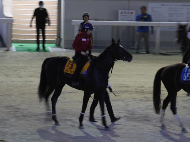 希少♦️武豊メジロマックイーン引退式パネル 希少♦️武豊メジロマックイーン引退式パネル 希少♦️武豊