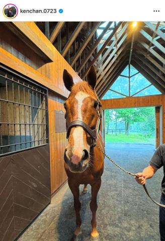 危険回避どころか「ベロ出し可愛すぎ」のオルフェーヴルにファン歓喜