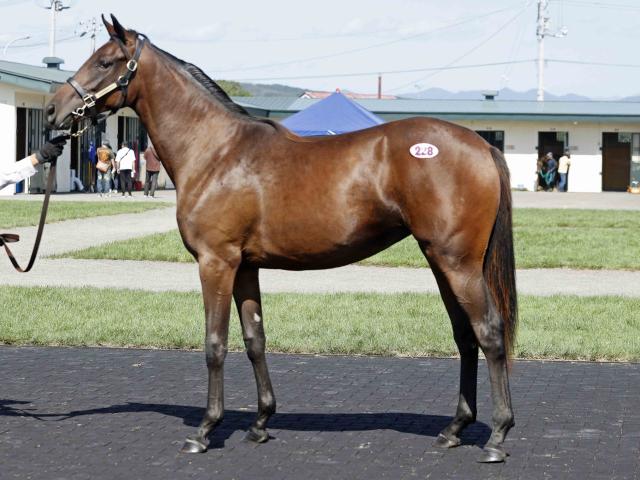 馬のある静物２ figma 馬 ver.2 （白）