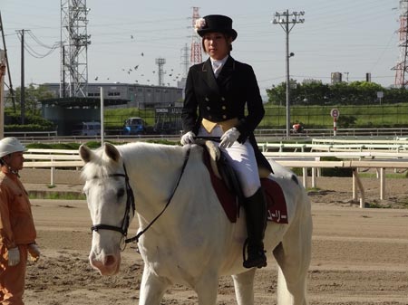 園田の誘導馬マコーリー、16日の開催で引退 | 競馬ニュース - netkeiba