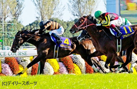 キタサンブラックがGI制覇、清水久師「このあとは有馬記念か香港か」/菊花賞 | 競馬ニュース - netkeiba