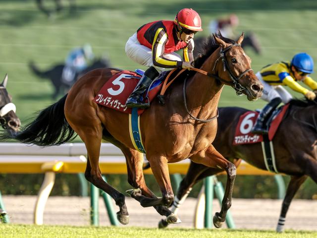 な³☆実際に使用!JRA 競馬バナー天皇賞秋　ポタジェレッドガロン（表裏） 39442-132-