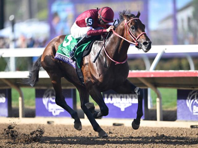 米・BCクラシック結果】フォーエバーヤングが世界の頂点に立つ！ 日本