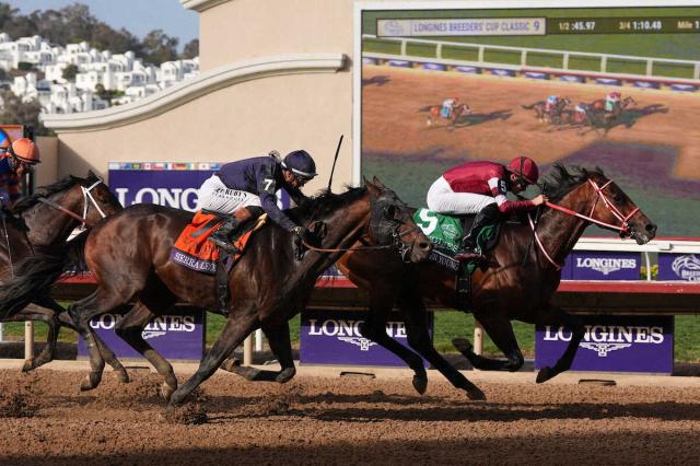 フォーエバーヤング 2025年ブリーダーズカップ レーシングプログラム