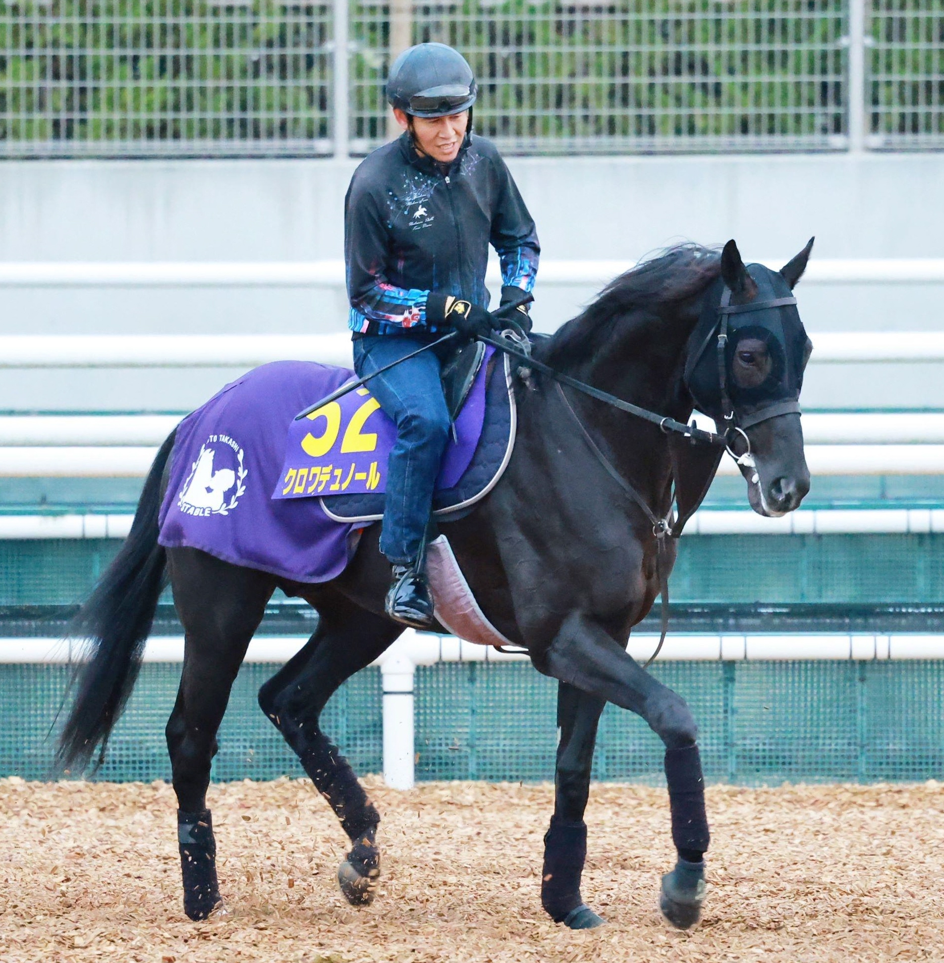 東京＆京都の危険な人気馬】クロワデュノール 東京12R・ジャパンC
