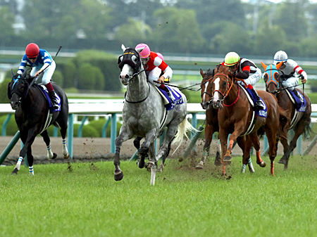 ゴールドシップは8枠15番からのスタート/有馬記念枠順 | 競馬ニュース