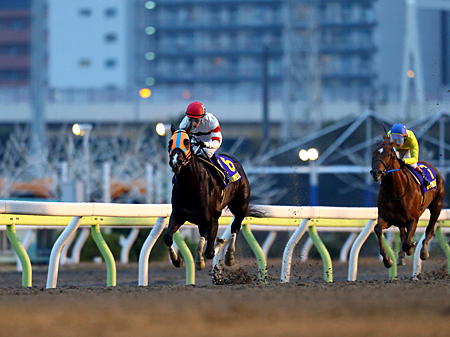 第61回東京大賞典、ホッコータルマエらが出走予定 | 競馬ニュース - netkeiba