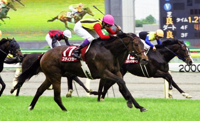 98年阪神3歳牝馬S覇者スティンガー死す、27歳老衰のため 社台ファーム