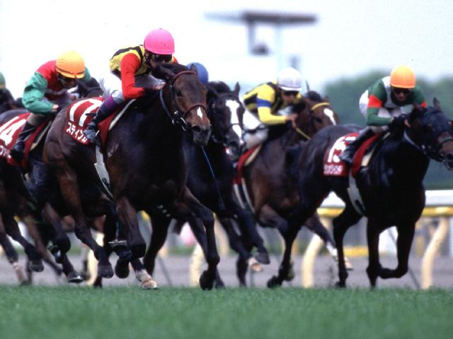 GI馬スティンガーが27歳で死亡 98年の阪神3歳牝馬Sを連闘で制す | 競馬